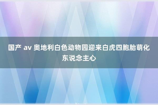 国产 av 奥地利白色动物园迎来白虎四胞胎　萌化东说念主心