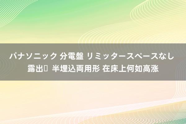 パナソニック 分電盤 リミッタースペースなし 露出・半埋込両用形 在床上何如高涨