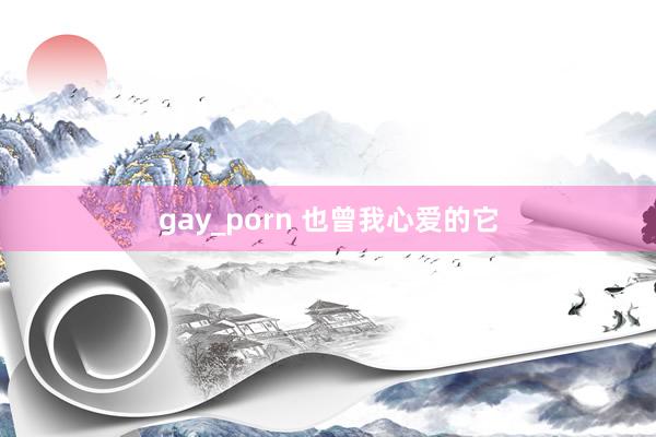 gay_porn 也曾我心爱的它