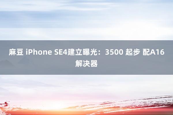 麻豆 iPhone SE4建立曝光：3500 起步 配A16解决器