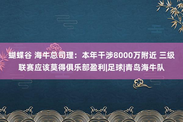 蝴蝶谷 海牛总司理：本年干涉8000万附近 三级联赛应该莫得俱乐部盈利|足球|青岛海牛队