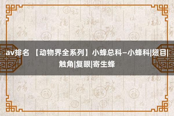 av排名 【动物界全系列】小蜂总科—小蜂科|翅目|触角|复眼|寄生蜂