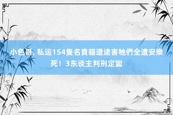 小色哥， 私运154隻名貴貓遭逮　害牠們全遭安樂死！3东谈主判刑定讞